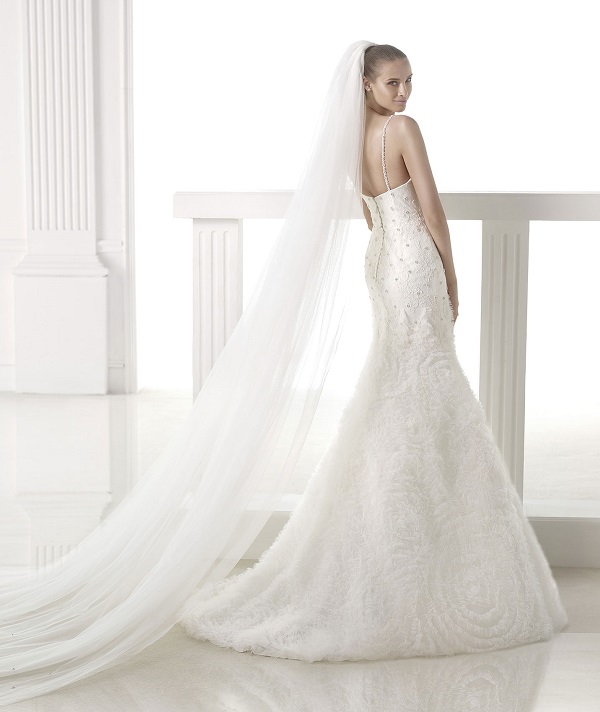 Bride's veil