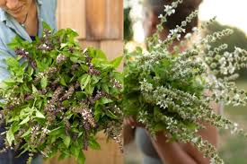 What kind of greenery do florists use in their arrangements?